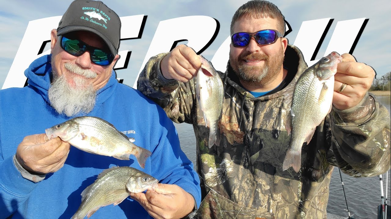 White Perch Fishing (Delaware Spring Run)