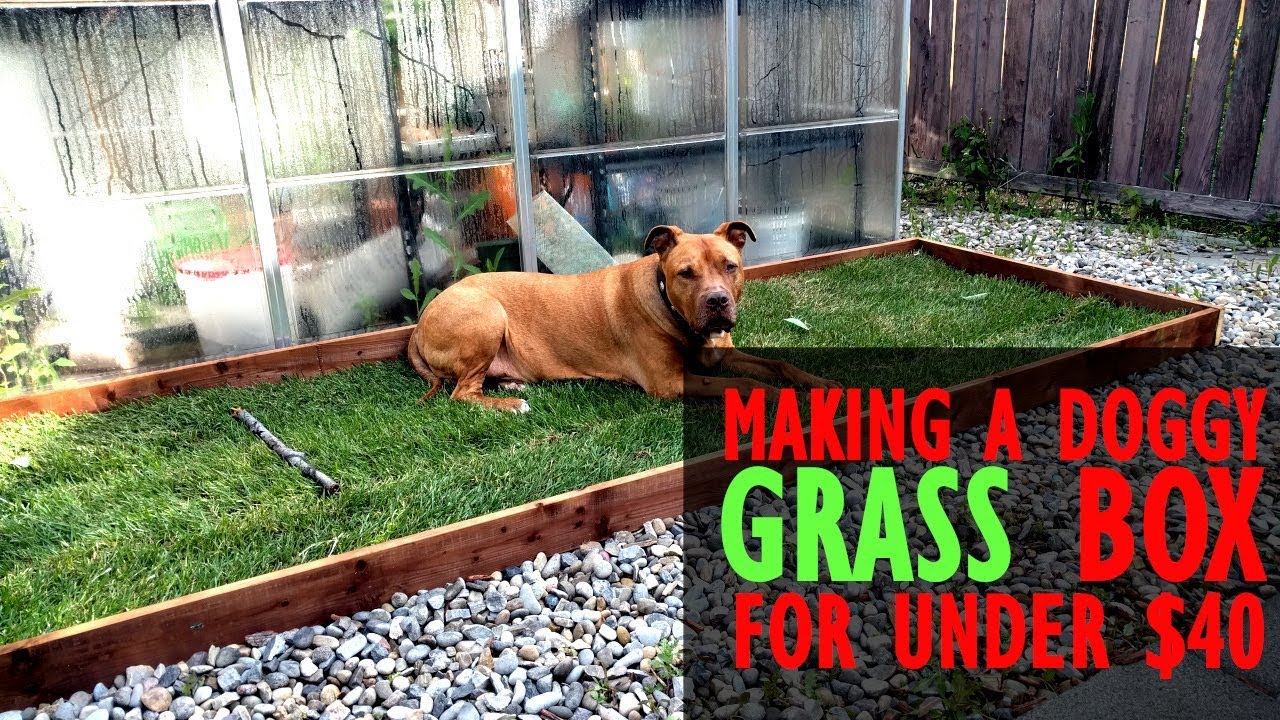 Part 2: Preparing for a Foster Dog - Creating a Grass Patch for under $40 making space for a rescue