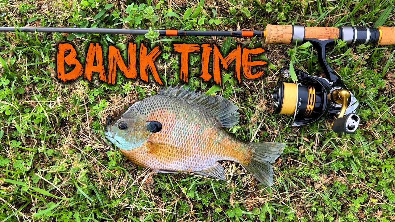 I fish Bluegill Slabs from the Bank