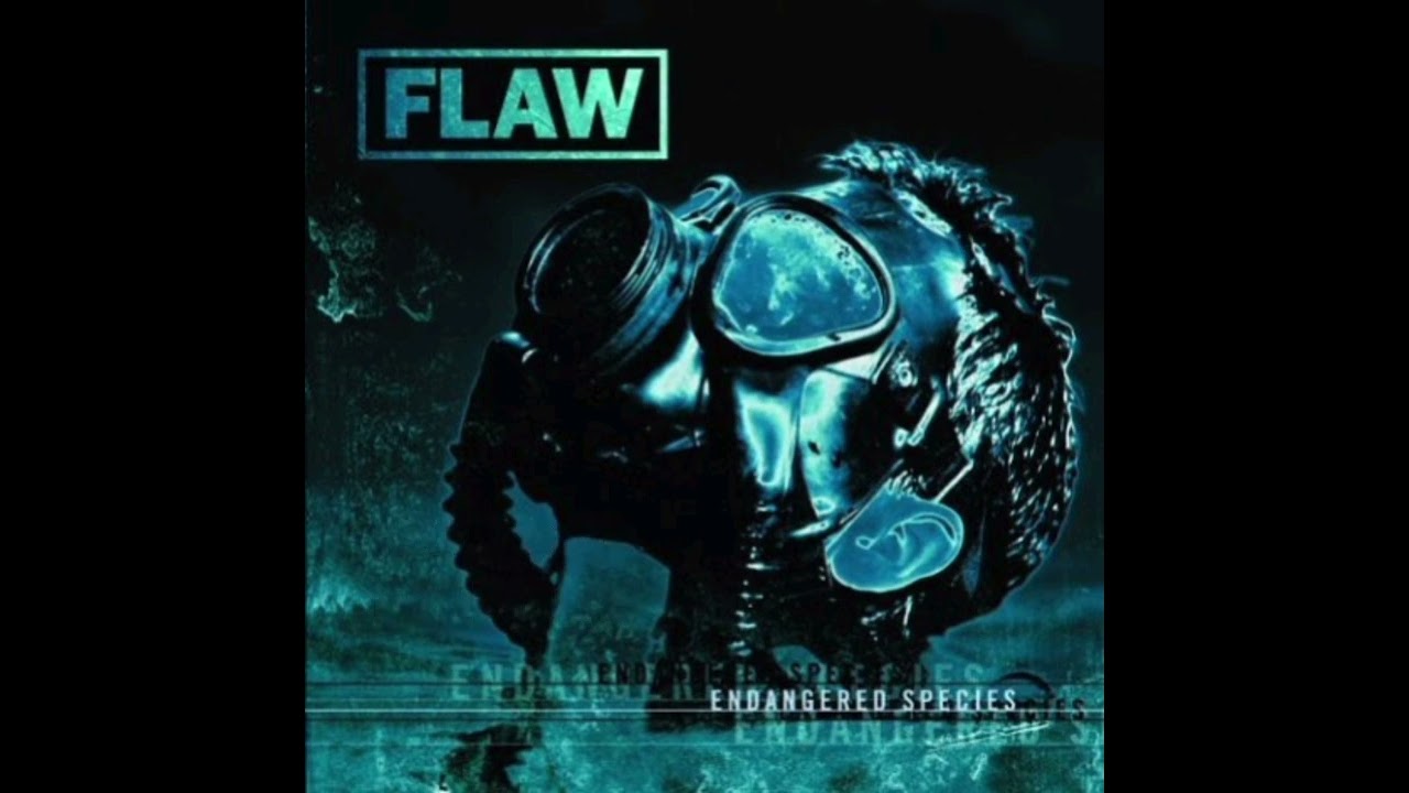 Flaw - Decide (Tradução) PT-BR