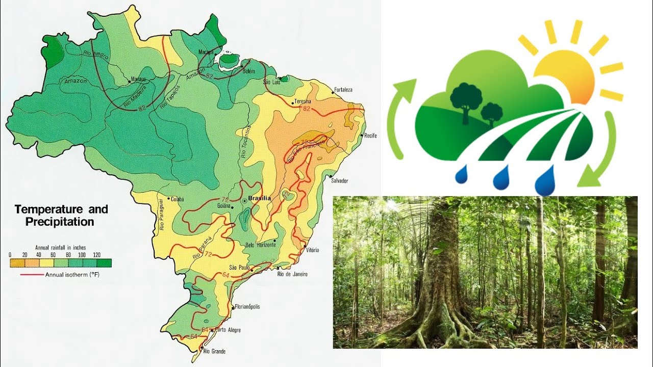 Landschap, klimaat en vegetatie van Brazilië
