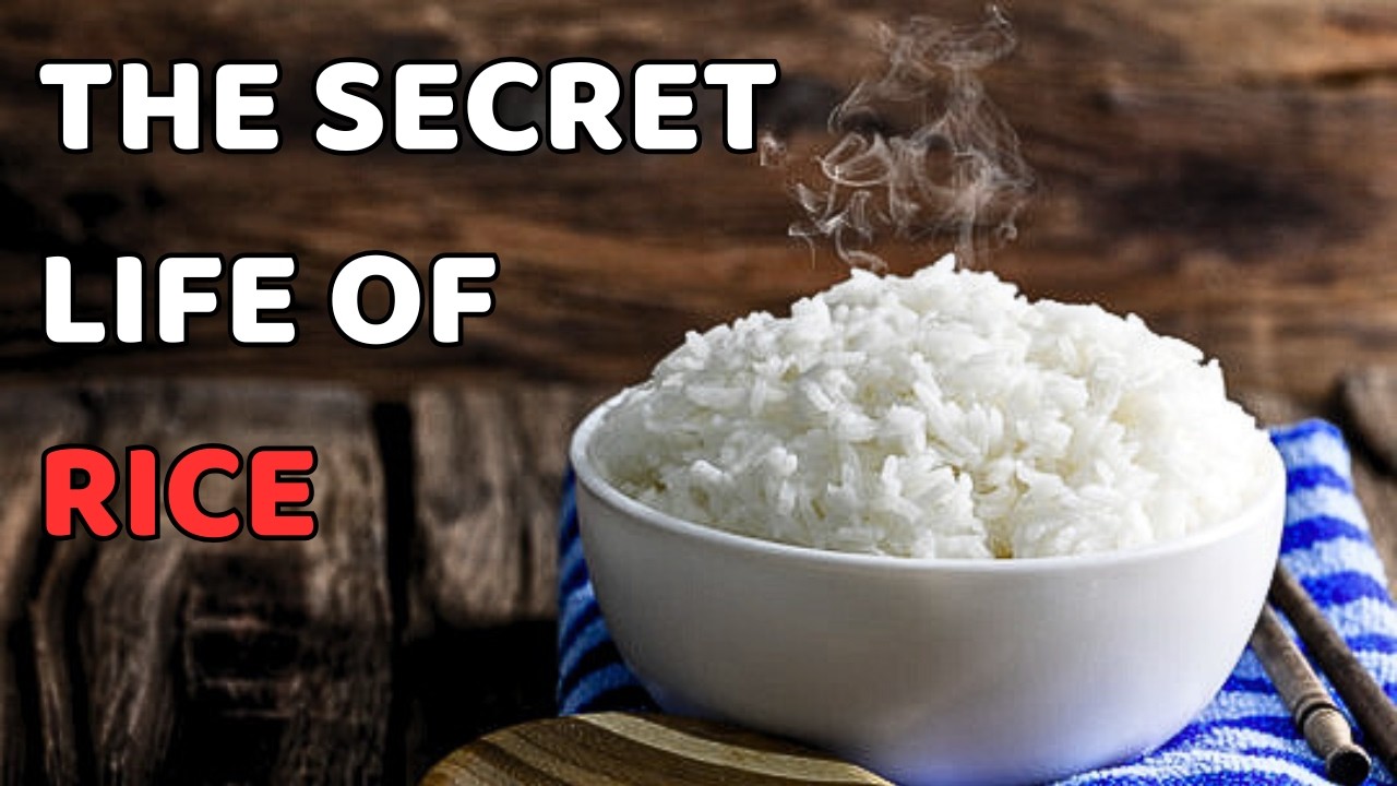 How Rice Is Made? (It’s Not What You Think)