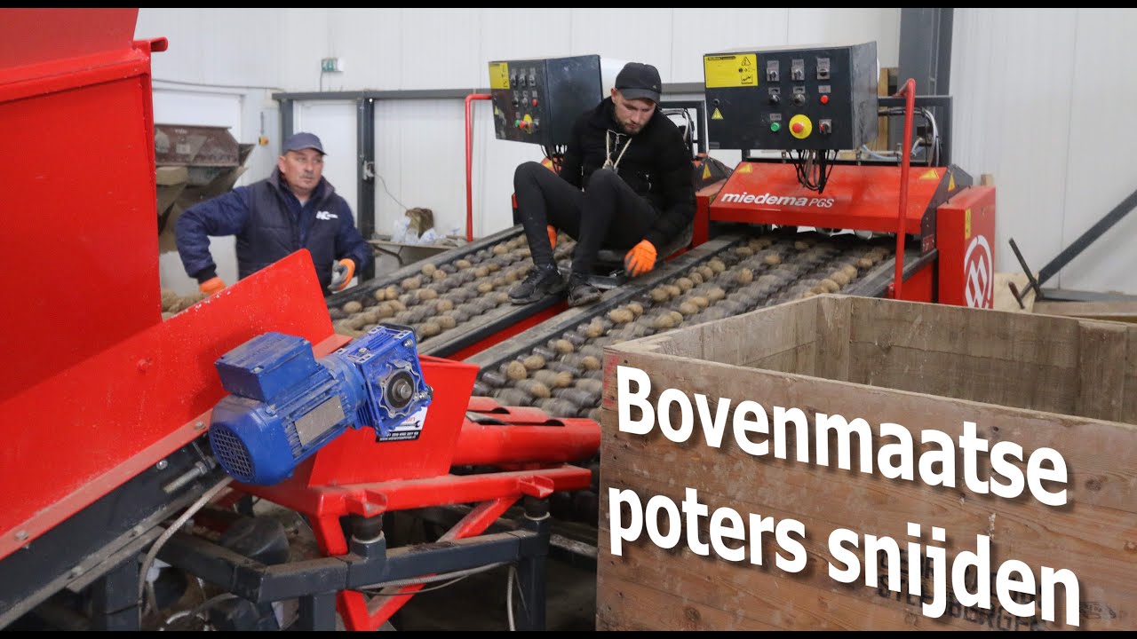 aardappelen snijden | koelhuis jacobs