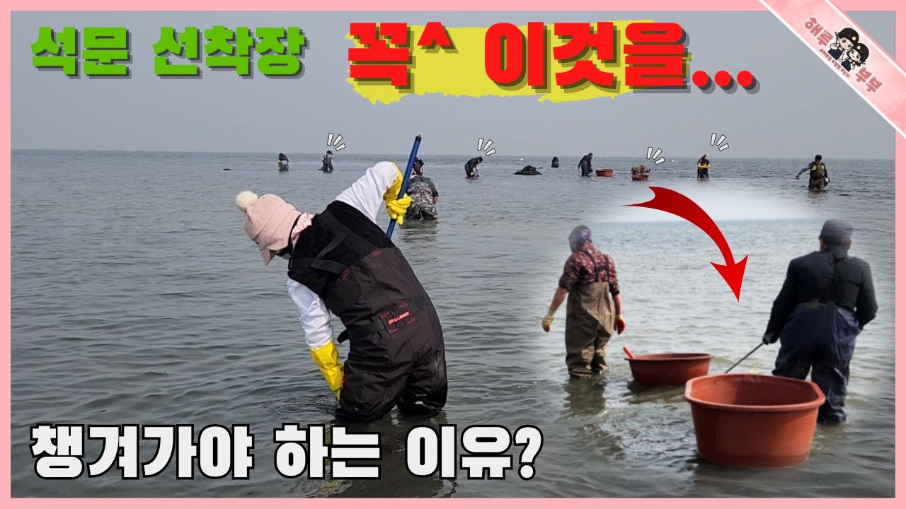 석문 선착장 요즘 난리났네 이곳에 꼭 챙겨서 가야하는 이것