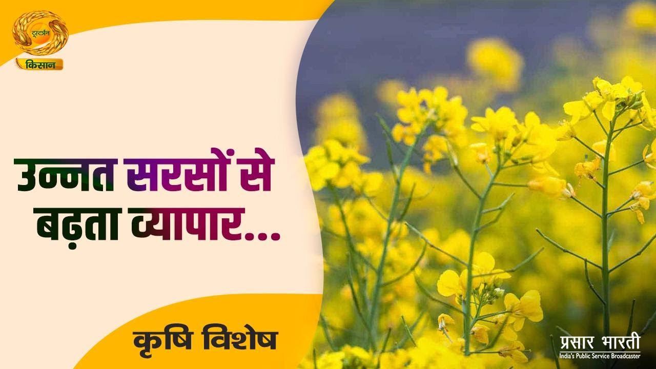 Krishi Vishesh | कृषि विशेष: उन्नत सरसों से बढ़ता व्यापार | DD Kisan | 15/01/2026