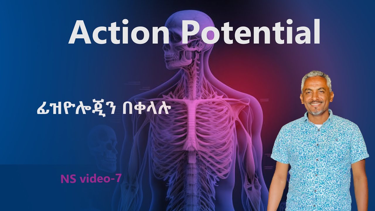 Action Potential (NS video 7) ||ፊዝዮሎጂን በአማርኛ||Depolarization ||Repolarization||