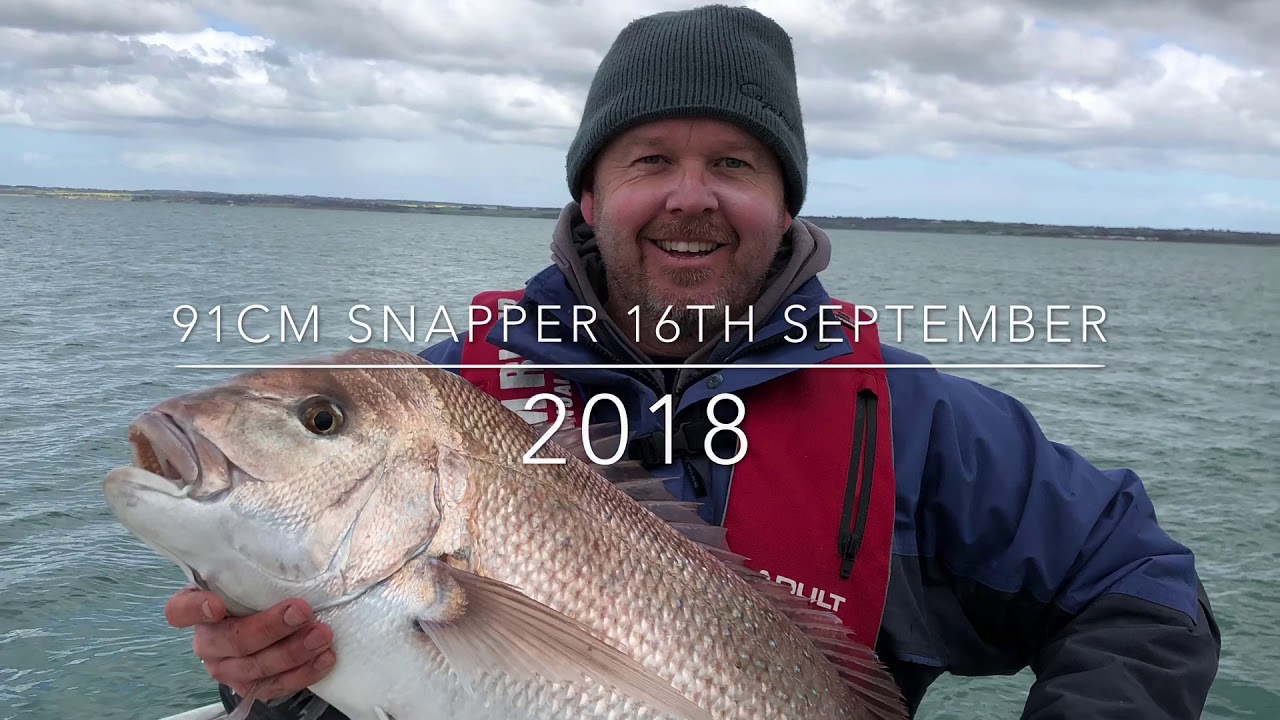 Corio Bay, Port Phillip Bay Snapper 91cm, outer harbour Geelong