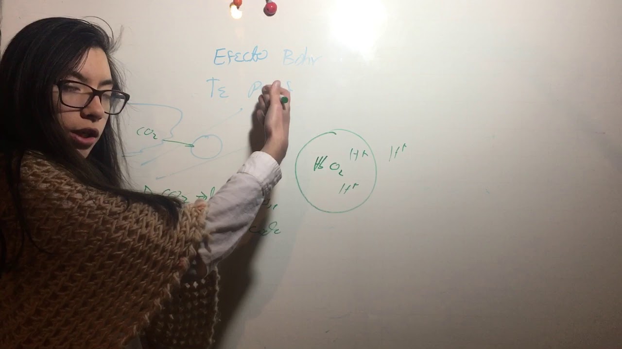 Efecto de Bohr. Mejor Calidad. Fisiología Pulmonar