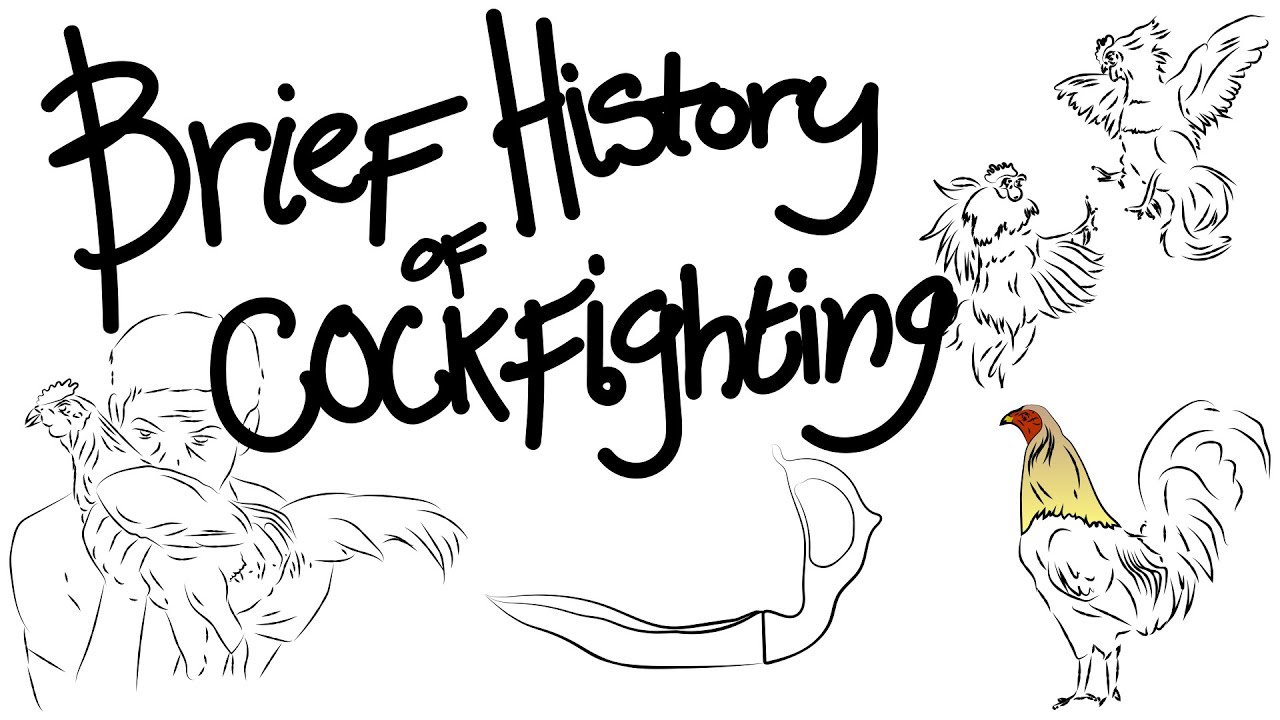 Brief History of Cockfighting
