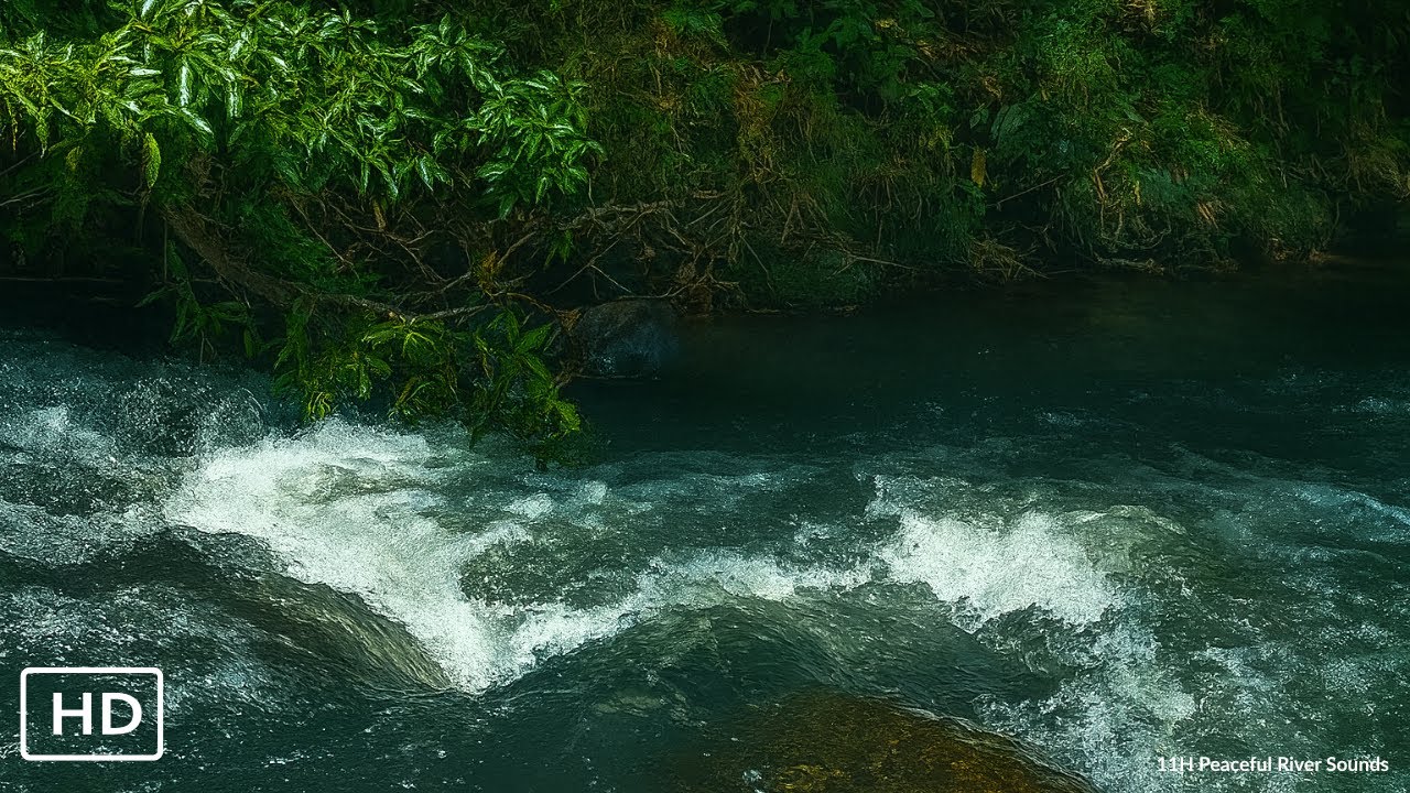 Real Flowing River at Night – Instantly Calm Your Mind