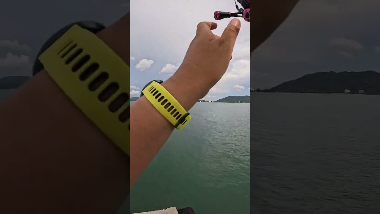 Mmg mudah cari lauk guna Apollo (Sabiki Rig) penuh bekas ikan aku. Alhamdulillah. 