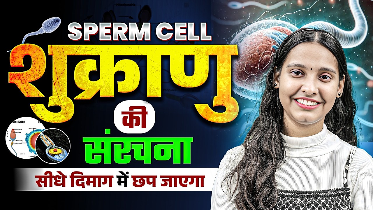 शुक्राणु की संरचना | Structure of Sperm | Class 12th Biology | Board Exam 2027