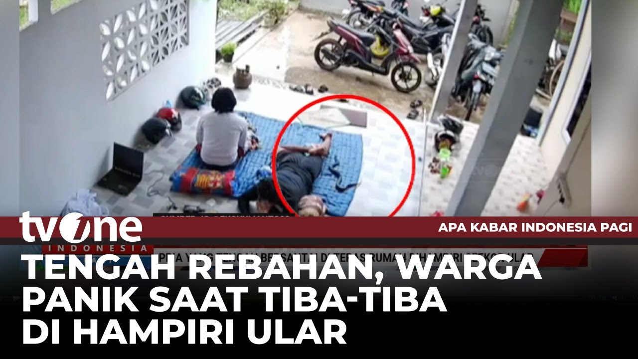 Momen Menegangkan Kemunculan Ular di Teras Rumah Warga | tvOne