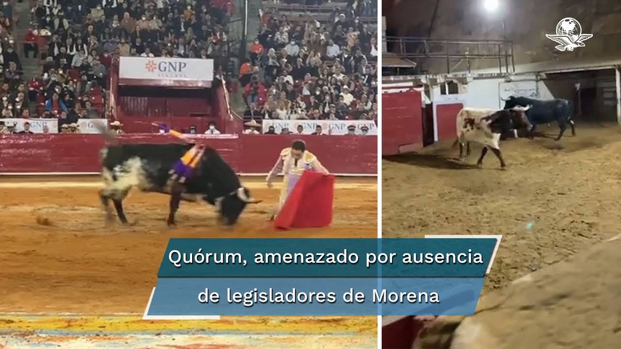 Aprueban en comisiones prohibir corridas de toros en CDMX