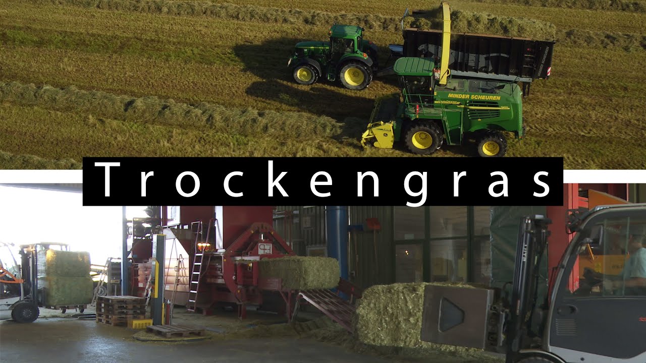 Trockengras - Das klevere Konservierungsverfahren