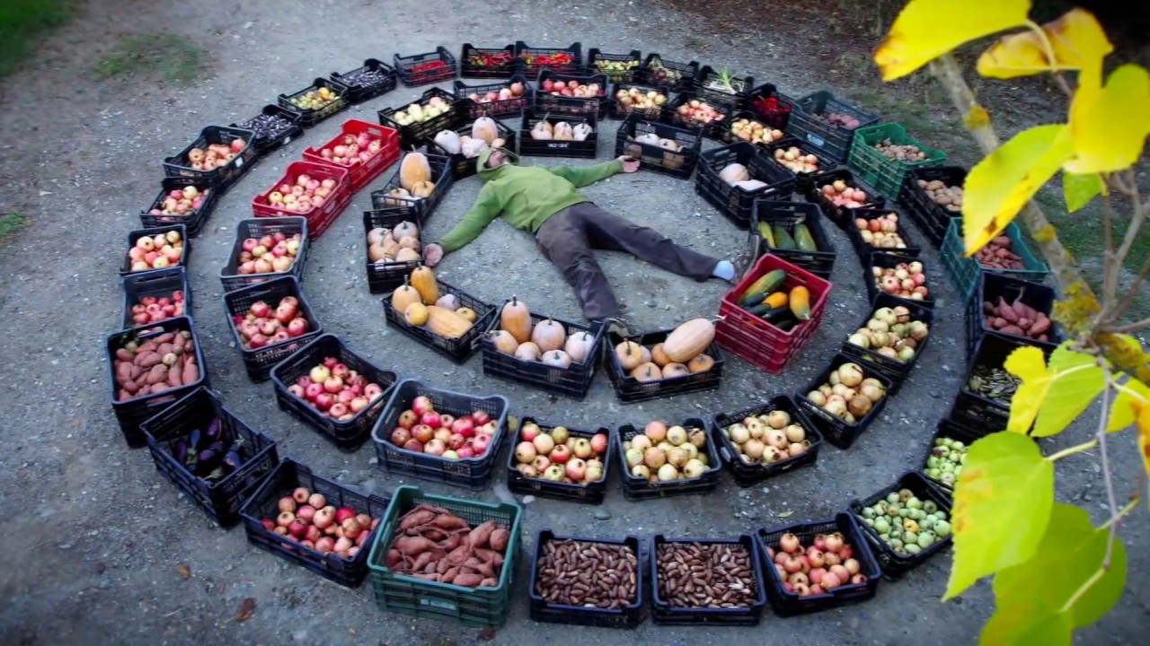 Cambio permanente - Permacultura: hacia una cultura de paz