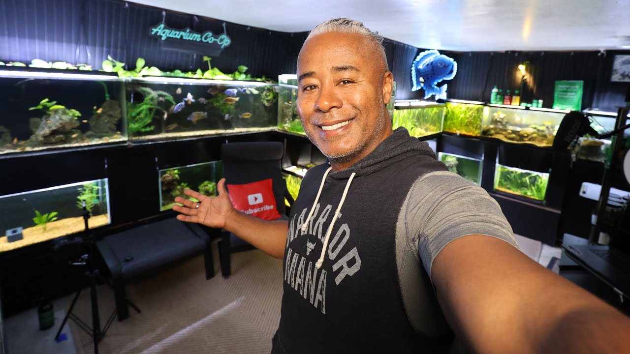 Every Fish Tank in my Home **Fishroom Tour**