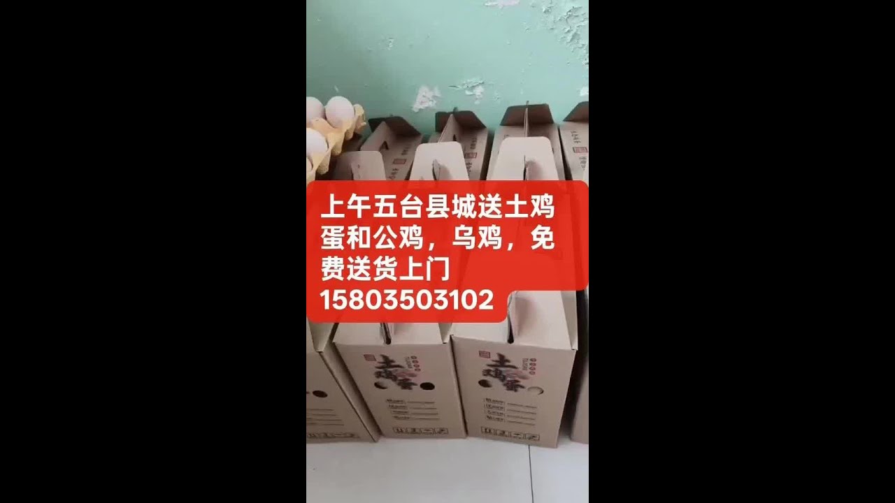 上午五台县城送土鸡蛋，有买的联系我，免费送货上门15803503102