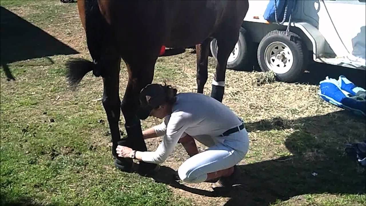 A Grooms job is never done!