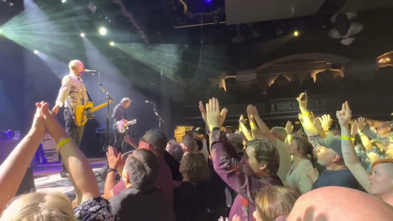 Hoodoo Gurus - 