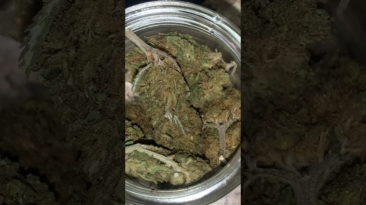 The Bud Vault hemp flower review