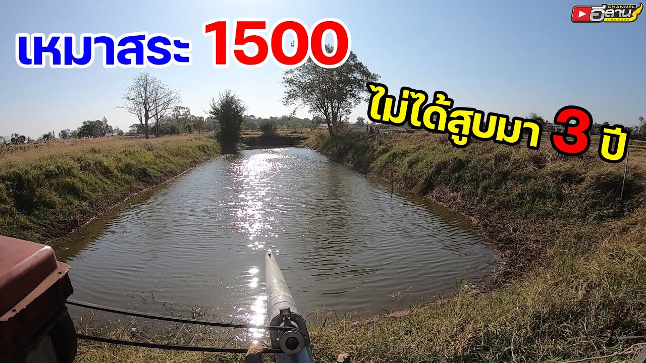 พ่อใหญ่ลุนจัดให้!! เหมาสระ 1500 เจ้าของบอกไม่ได้สูบมา 3 ปี