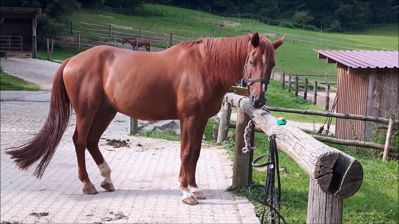 Märchenmühle ♥ Sommer 2017