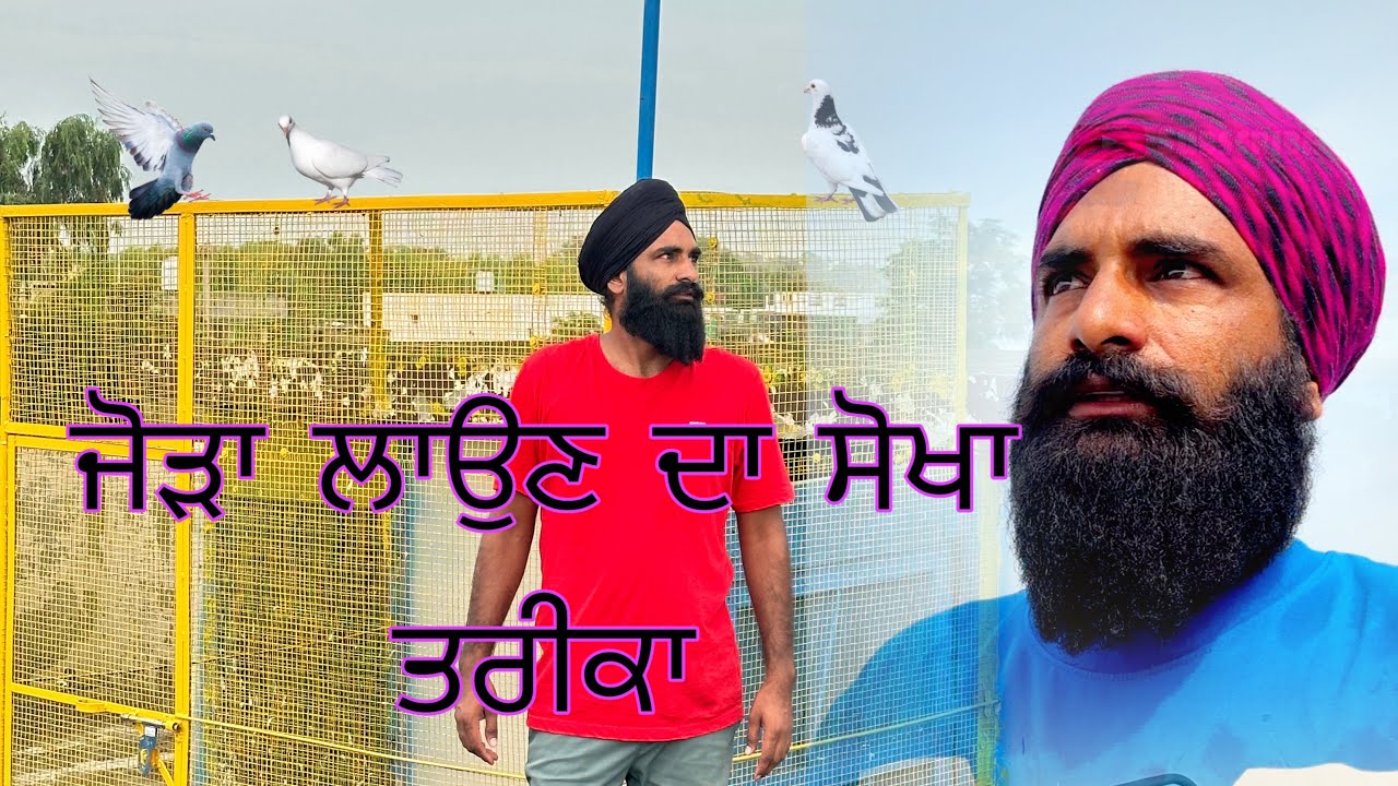 ਜੋੜਾ ਲਾਉਣ ਦਾ ਸੋਖਾ ਤਰੀਕਾ 🕊️@GopiMalikpur 