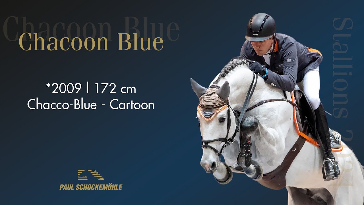 Chacoon Blue