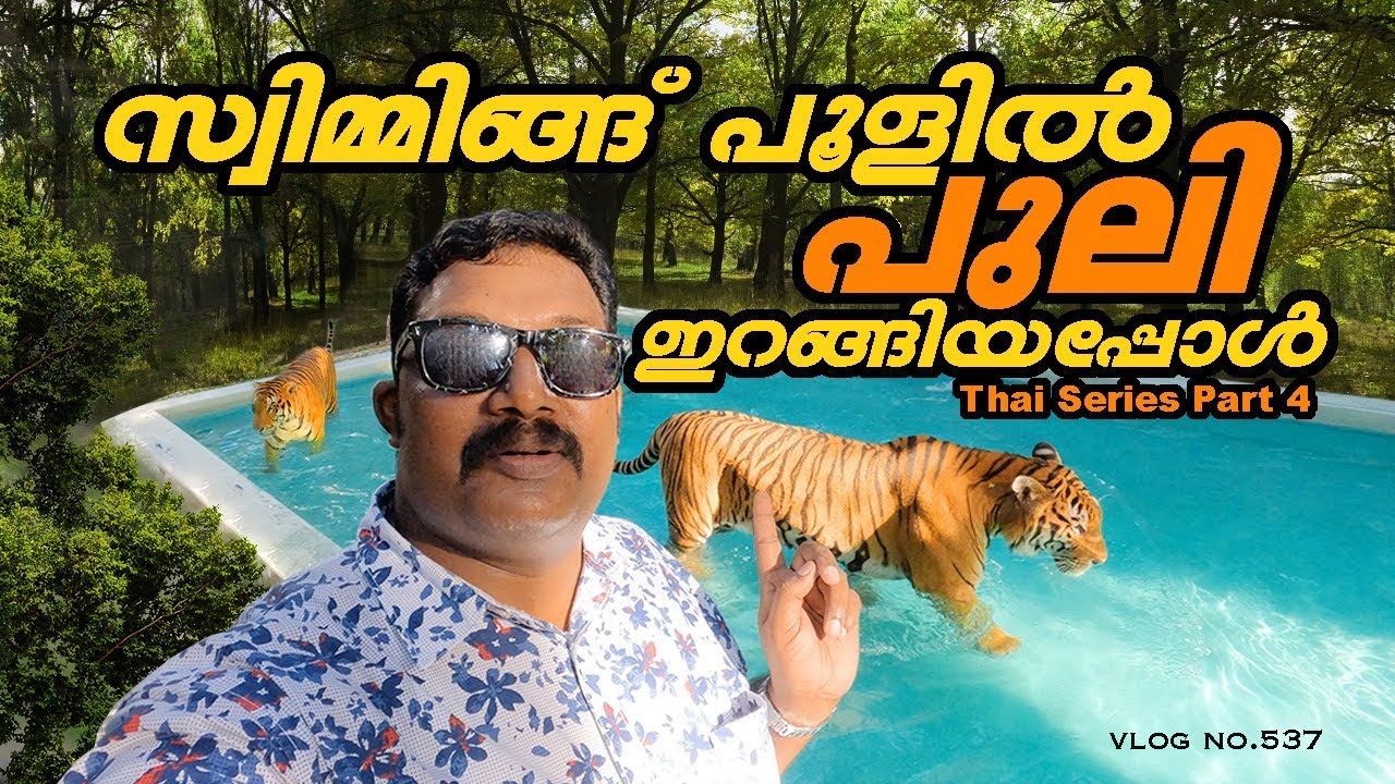 സ്വിമ്മിങ്ങ് പൂളിൽ പുലിയിറങ്ങിയപ്പോൾ |Tiger Park Pattaya|Thailand|Harees Ameerali