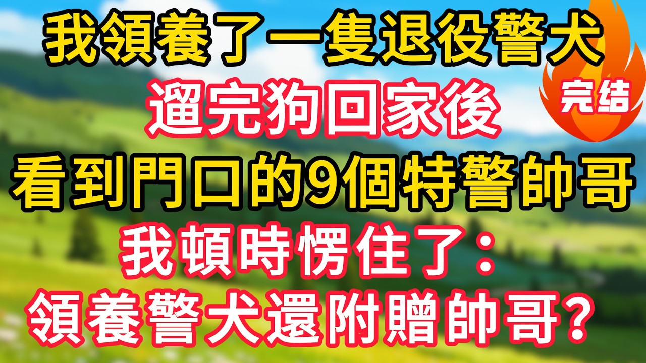 我領養了一隻退役警犬，遛完狗回家後，看到門口的9個特警帥哥，我頓時愣住了：領養警犬還附贈帥哥？！#生活經驗#情感故事#故事#小說#情感#婚姻#深夜淺讀 深夜淺讀#說故事
