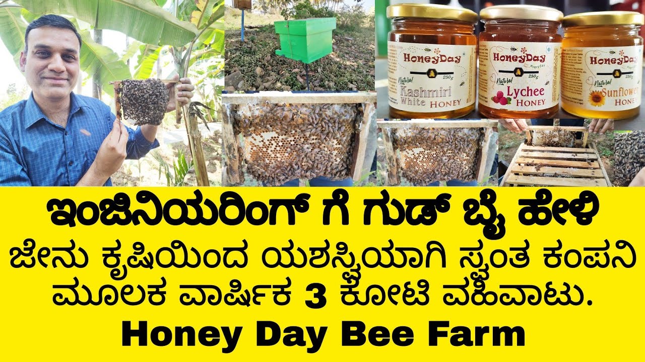ಜೇನು ಕೃಷಿ |Honey day farms in Karnataka | honeyday farming| how to harvest honey |
