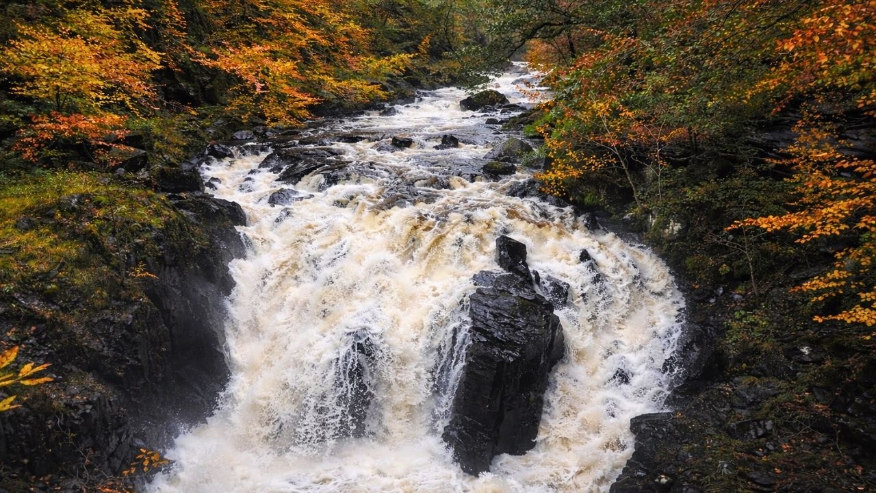 The Hermitage River Walk: Autumn Colors and Cascading Waterfalls