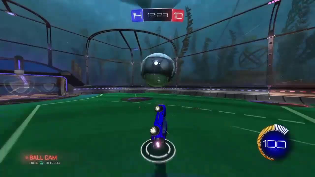 Rocket to grand champion Arabic