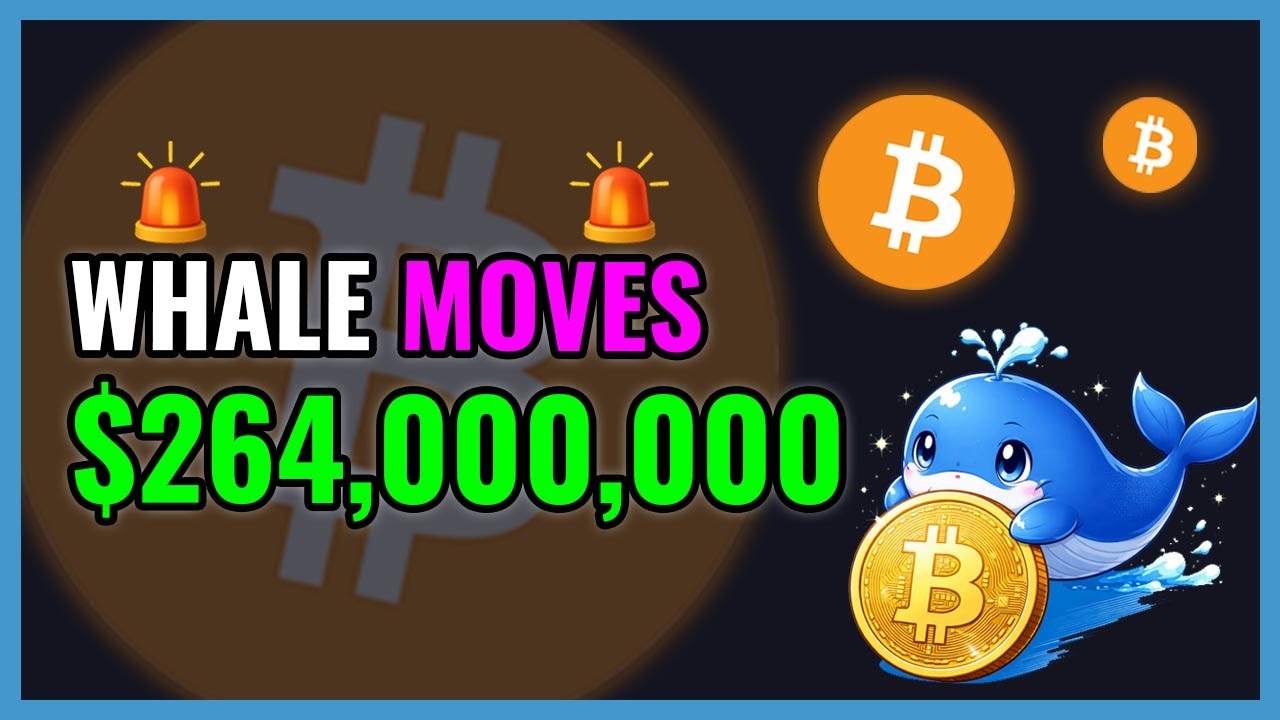 BTC Whale Just Moved $264,000,000!🚨WHALE ALERT