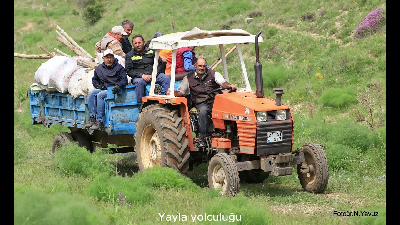 Yaylaya Yolculuk Haziran 2023