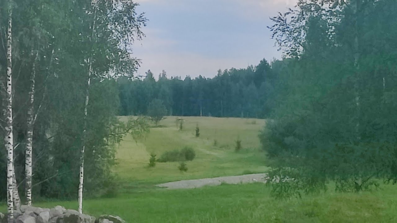 Äänekosken frisbeegolf keskuskuksen tarinoita