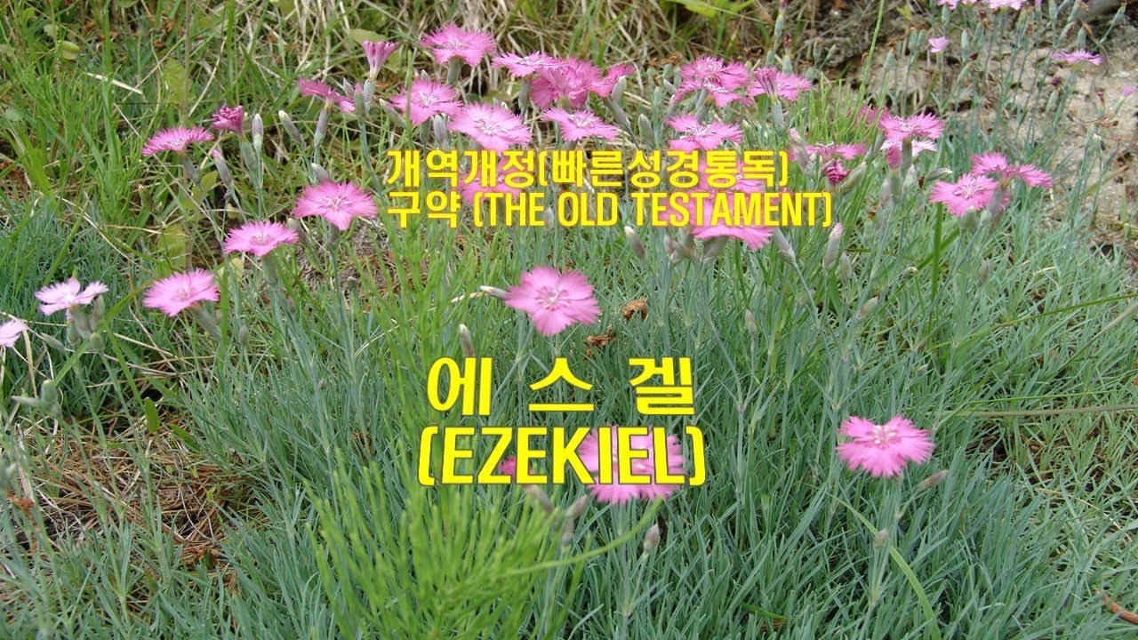 (개역개정 성경)_에스겔