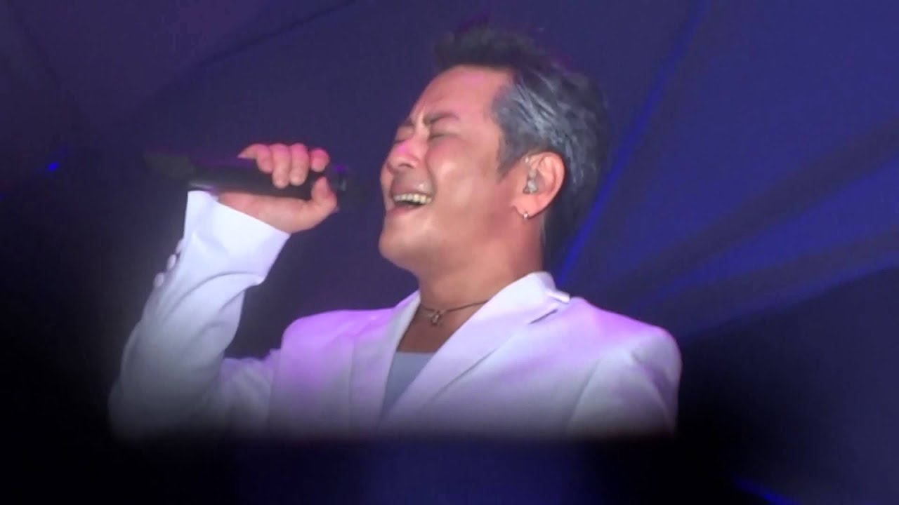 王傑廣西南寧20151017 - 忘了你忘了我（歌詞）