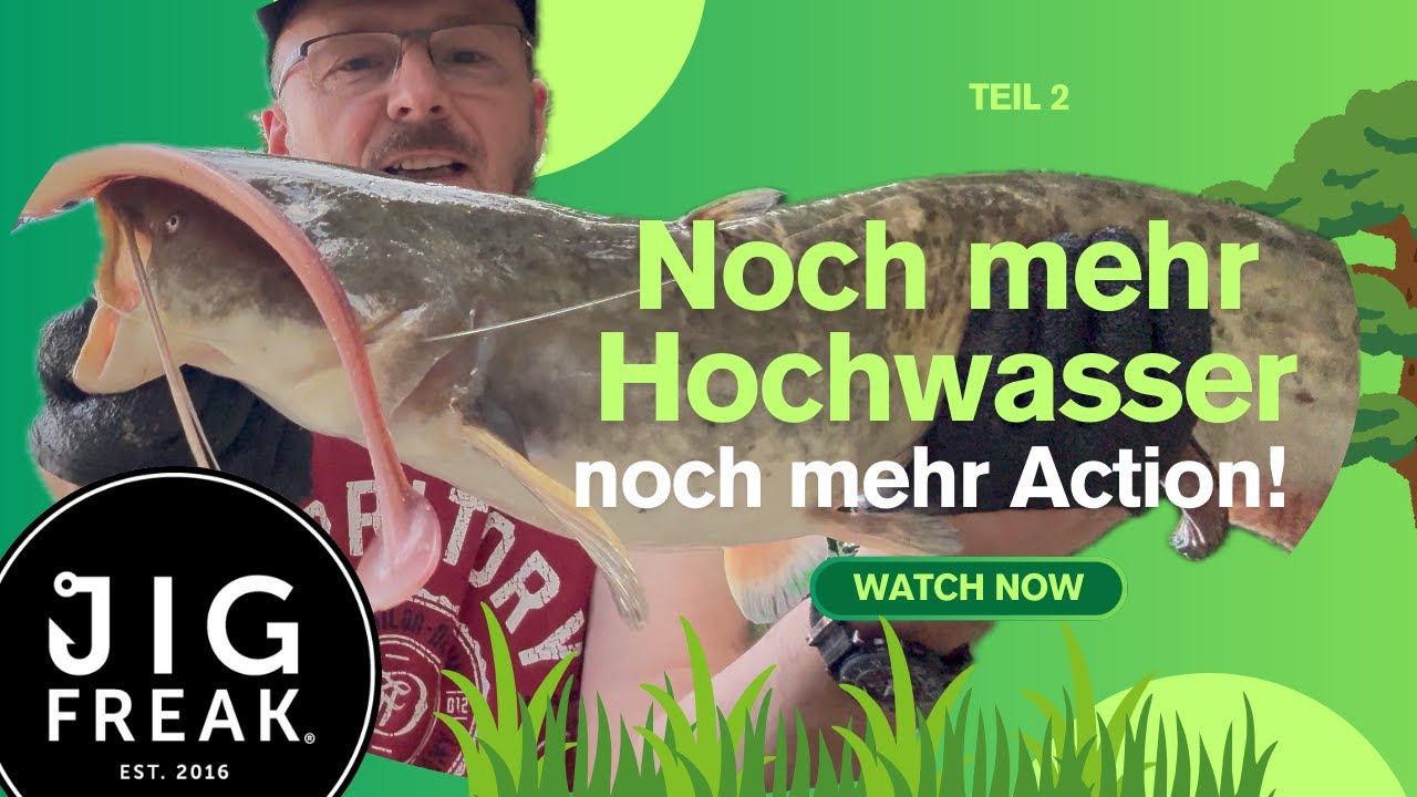 Teil 2 Donau bei Hochwasser  4