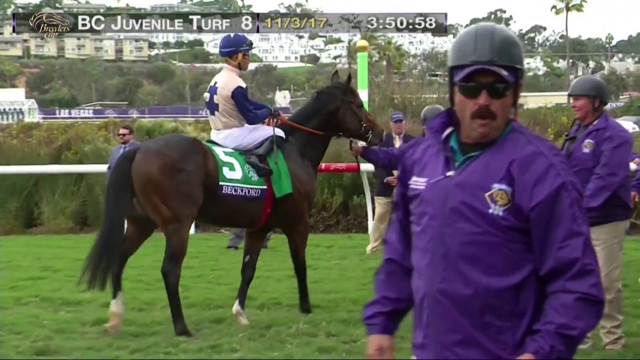 Mendelssohn Wins Breeders' Cup Juvenile Turf Grade I Stakes Race 8 at Del Mar 11/03/17