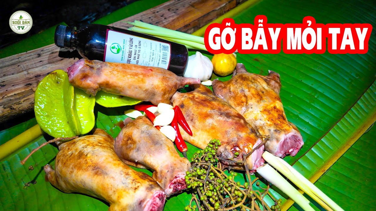 Bẫy Chúng Lia Lịa Gỡ  Mỏi Tay Bắt Được Cả Sóc Về Nuôi Mà Vẫn Thịt Vẫn Cứ Ê Chề ✧ Suối Bản Tv