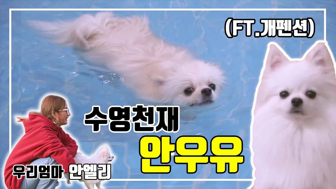 EXID LE + 우유랑 가평 놀러갔다왔어요!