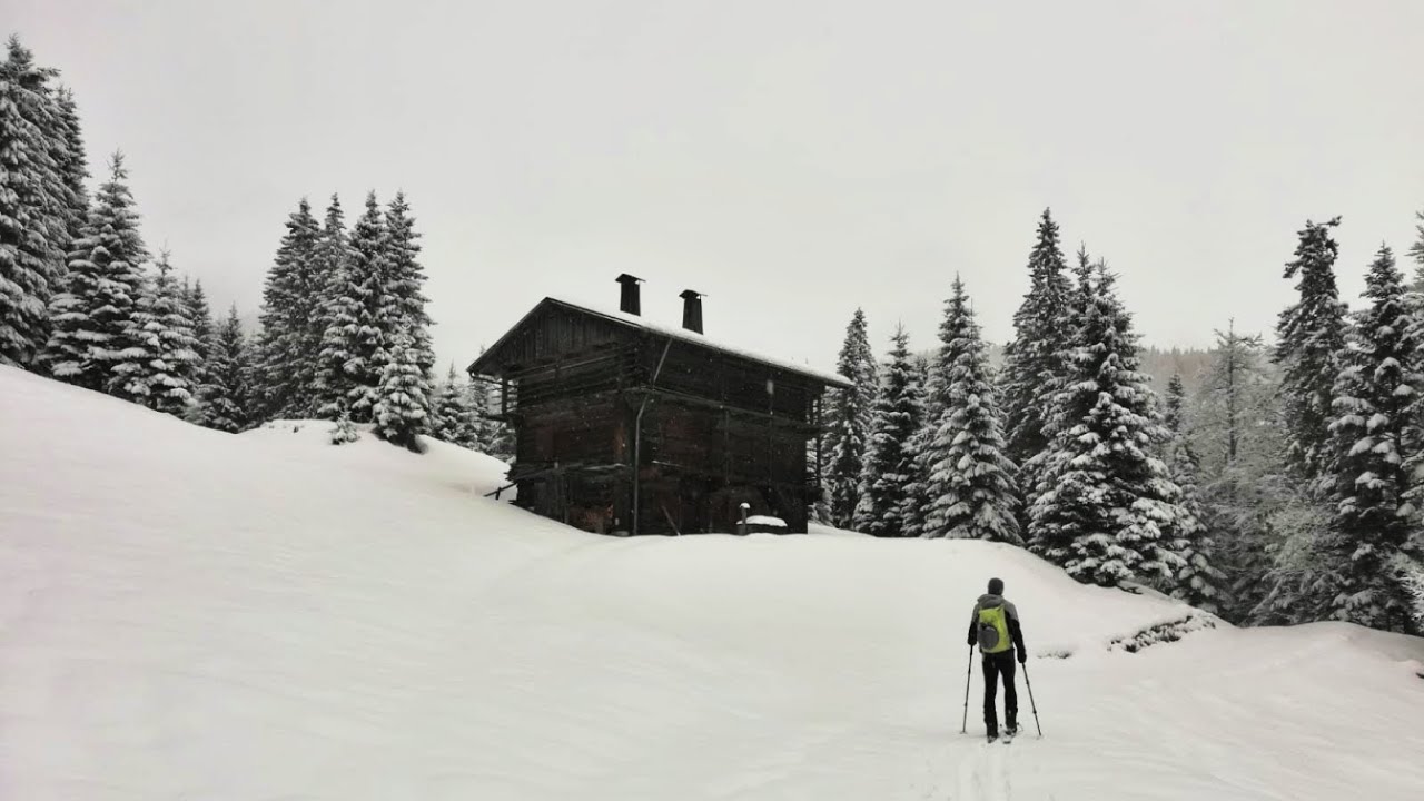 Sauris, giro delle malghe invernale (parziale) da Lateis a casera Losa - 9/3/24
