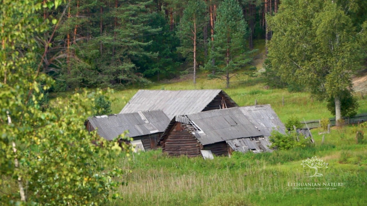 Zervynos village settlement
