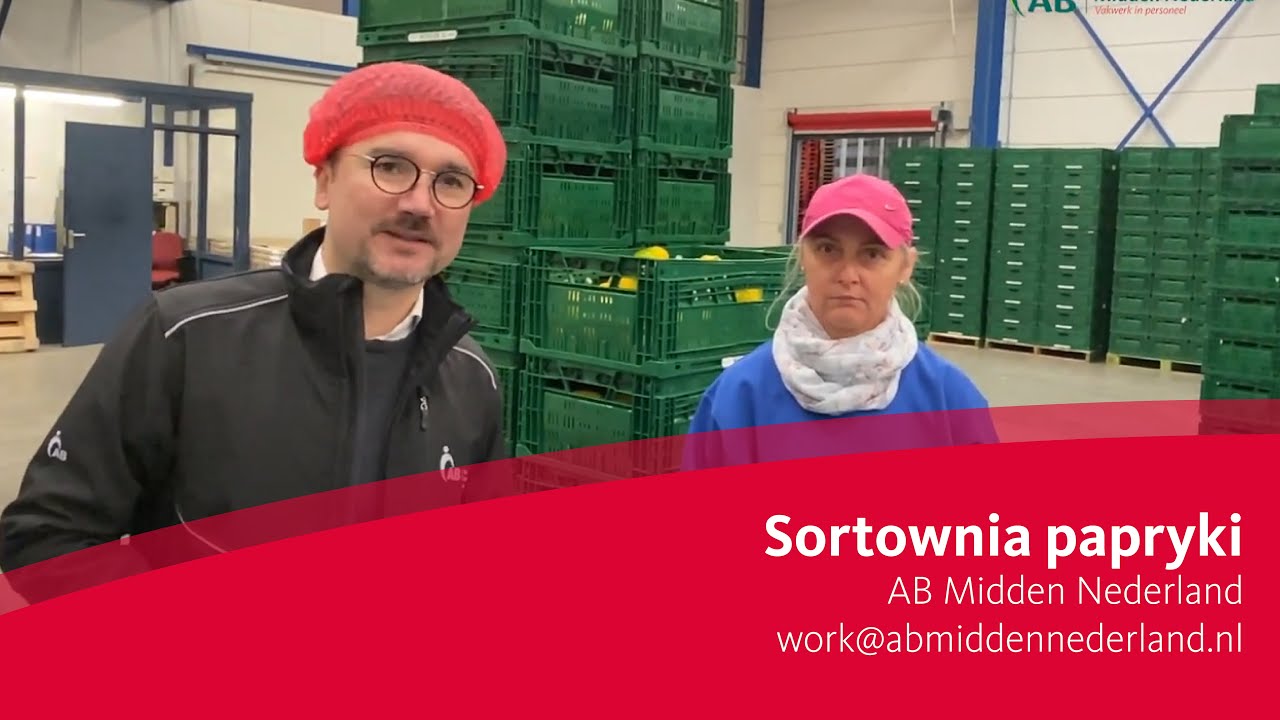 Sortowanie papryki u jednego z naszych klientów | AB Midden Nederland