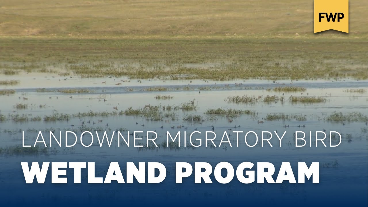 Landowner Migratory Bird Wetland Program