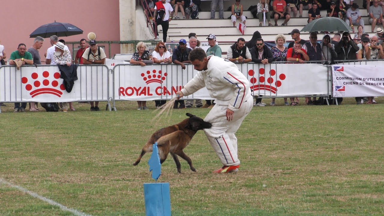 Championat de France en Ring 2023