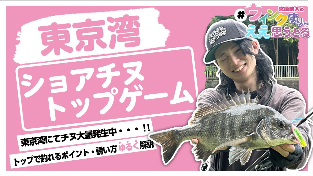 【東京湾チヌトップ】東京湾にてチヌ大量発生につきトップで連発!! #ウインクすりゃええ思うとる