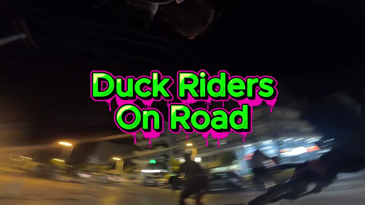 Duck On Road